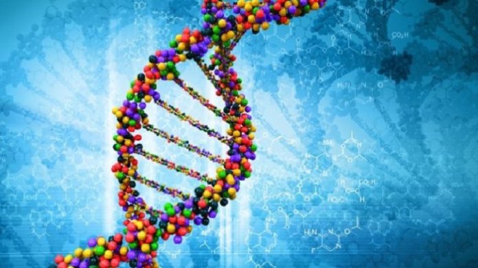 Dna