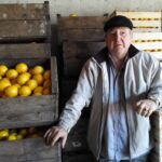 Cono Vallone al Mercado Modelo