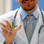 Cannabis terapeutica