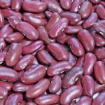 fagioli legumi