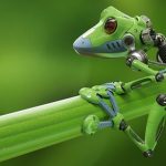 Robot_Animal