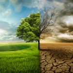 Cambiamento climatico