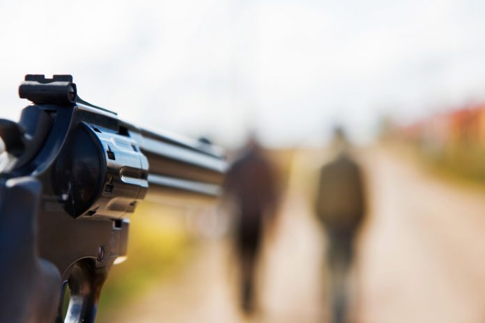 PISTOLA - depositphotos