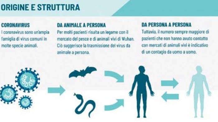 sintomi di influenza come prevenire sintomi di influenza come prevenire