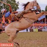 SemanaCriolla