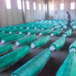 Srebrenica