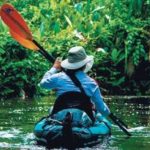 Amazzonia