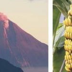 Ecuador