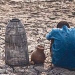 MigranteClimatico