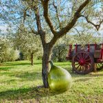 agriturismo