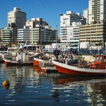 Depositphotos_24454489_s-2019