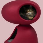 Gatto1