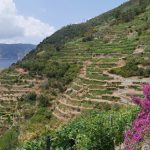 Muretti a secco Cinque Terre