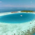 maldivas_coral-1