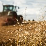 trattore azienda agricola