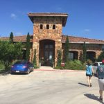 texas-hill-country-olive-1