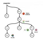 AlberoVirus