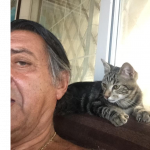 Gatto3