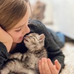 Gatto7
