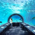 MALDIVE-BERTON-1536×1024