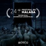 Bosco festival Malaga
