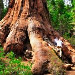 Yosemite-3