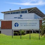 Institut Pasteur de Montevideo