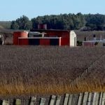 Bodega Molinari – Canelones
