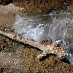 Archeologia: Israele, recuperata in mare una spada crociata