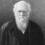 Darwin