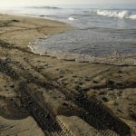 california_petrolio_afp