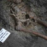 ercolano_ansa-1