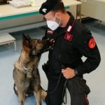 Cani3