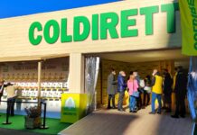 Coldiretti: “Mercosur, accordo non ci soddisfa e non ci fidiamo della Von der Leyen”