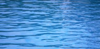 Fiume acqua mare
