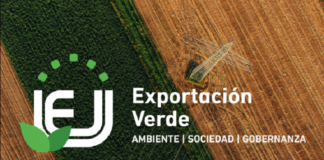 Exportacion Verde
