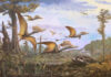 Nell’isola di Skye, in Scozia, una specie di pterosauro giurassico mai rinvenuta prima