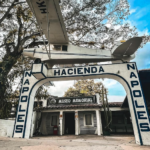 Escobar Napoli