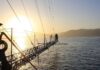 Pesca tradizionale dello Stretto di Messina Presidio Slow Food