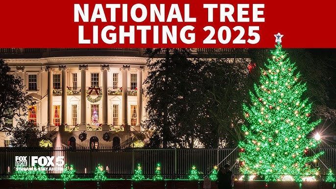 albero casa bianca 25