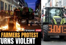 Mercosur, Prandini: “Continueremo a protestare per difendere agroalimentare italiano ed europeo”